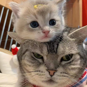 亚洲女人淫淫浪网
