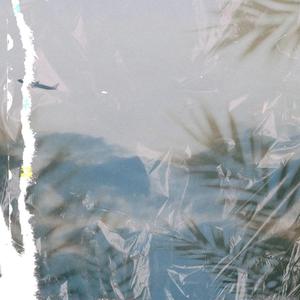 亚洲女人淫淫浪网
